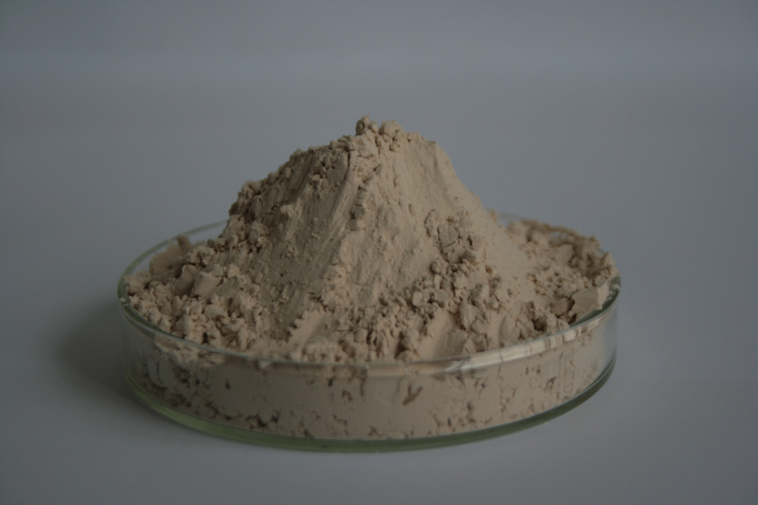 巖藻多糖 巖藻多糖